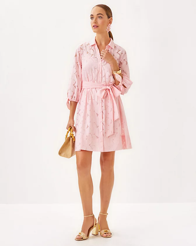 Amrita Shirtdress